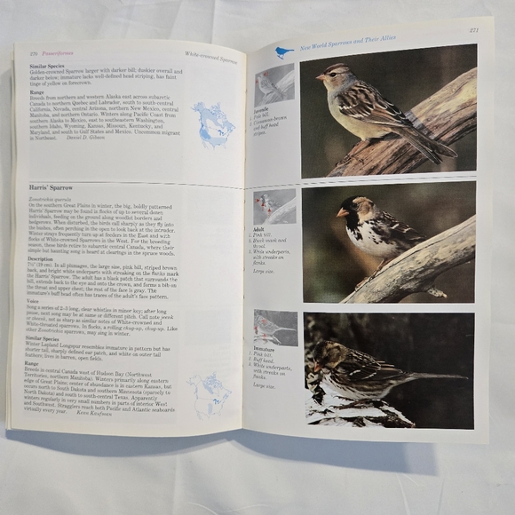 Birding Field Guide Bundle - Picture 8 of 8